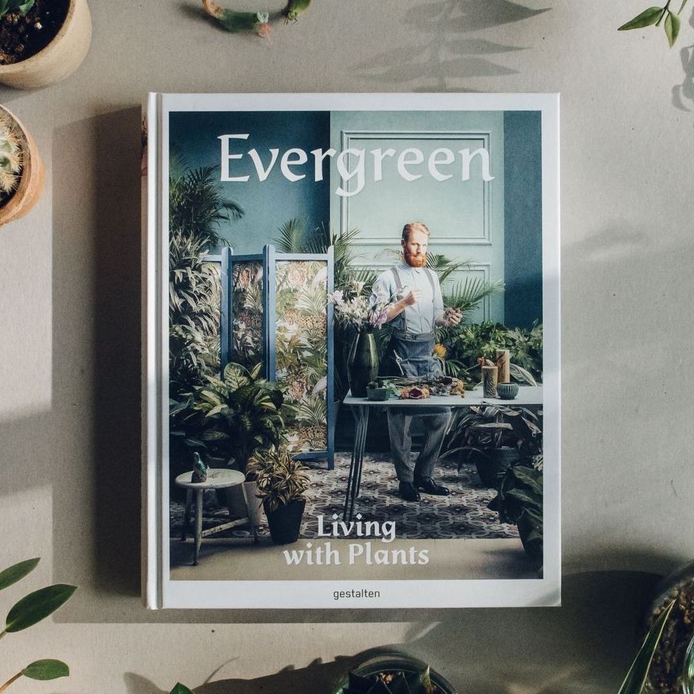 Книга Evergreen - фото 1