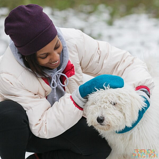 Шапка шерстяная Friend Function Сливовая