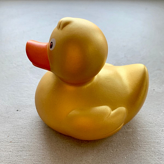 Утка Золотая