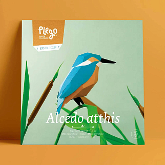 Бумажная модель для сборки Plego Art Alcedo Atthis (Обыкновенный зимородок)