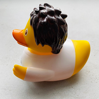 Утка Каратист