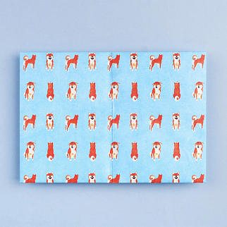 Обложка для паспорта из тайвека New Wallet Sibainu