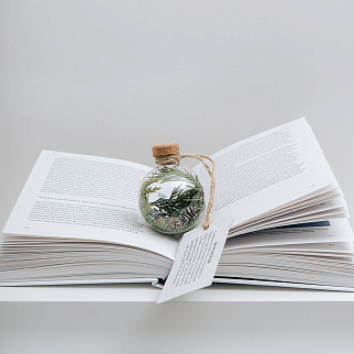 Зачарованный подарочный шар Вечнозеленый