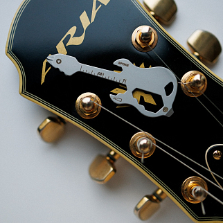 Мультитул Гитара Friend Function