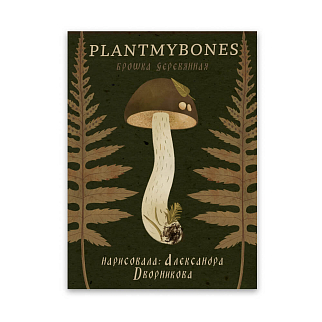 Деревянная брошка PlantMyBones Подберёзовик