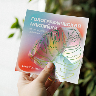 Стикер на окно - ловец радуги Friend Function (разные дизайны)