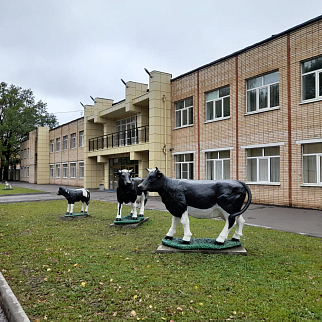 Образовательная прогулка "Тимирязевская академия и дендросад имени Р.И. Шредера", Москва 3 ноября