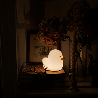 Цыпа ночник