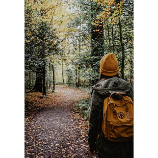 Рюкзак Fjallraven Kanken No2 Acorn (166)