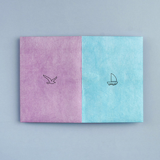 Обложка для паспорта из тайвека New Wallet Чайка и лодка