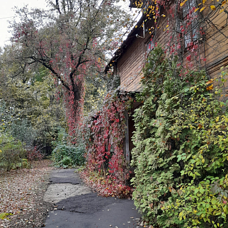 Образовательная прогулка "Тимирязевская академия и дендросад имени Р.И. Шредера", Москва 3 ноября