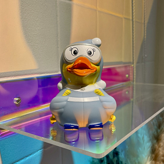 Утка Лыжница