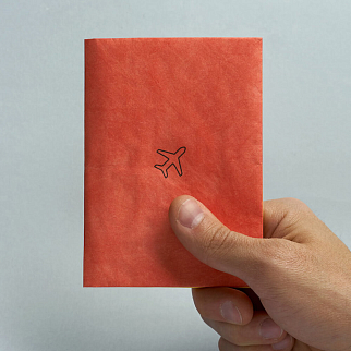 Обложка для паспорта из тайвека New Wallet Билет и самолёт