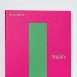 Книга Нью-Йорк вне себя