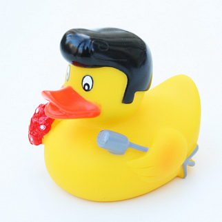 Утка Ловелас