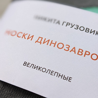 Носки Nikita Gruzovik динозавровые серые 39-41