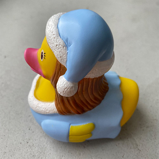 Утка Снегурочка голубая