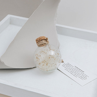 Зачарованный подарочный шар Гармоничный