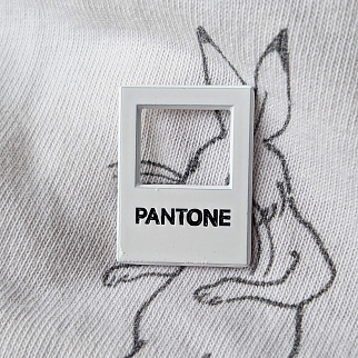 Значок Friend Function Pantone