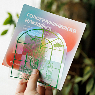 Стикер на окно - ловец радуги Friend Function (разные дизайны)