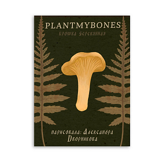 Деревянная брошка PlantMyBones Лисичка