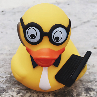 Утка Программист