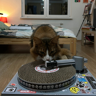 Когтеточка DJ CAT