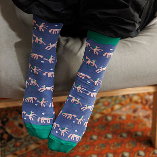 Носки Friend Function Голубые коняшки 40-46