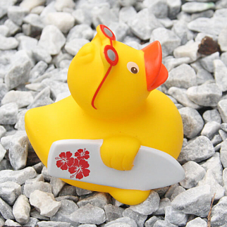 Утка Сёрфингист