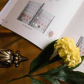 Книга Дом Мельникова