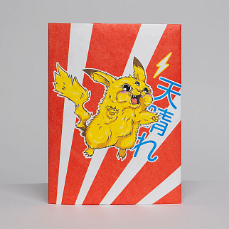 Обложка для паспорта из тайвека New Wallet New Pika