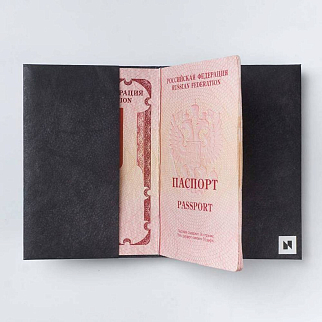 Обложка для паспорта из тайвека New Wallet New Skinny