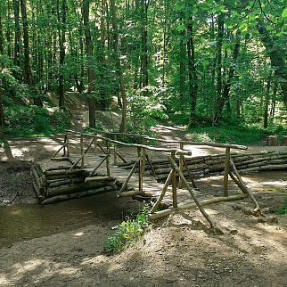 Экскурсия Секреты Битцевского леса, 12 июня