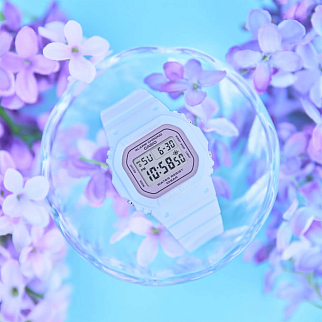 Часы Casio Baby-G BGD-565SC-2