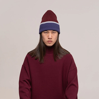 Шапка CHECK YA HEAD колорблок 2525/28