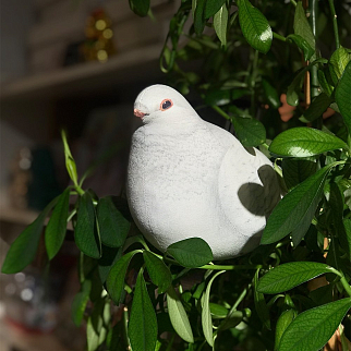 Мягкий реалистичный голубь