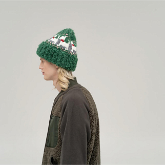 Шапка CHECK YA HEAD зеленая 2461/162