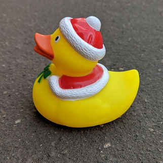 Утка Новогодняя