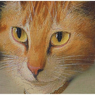 Настенное панно Kersten Cat Brown