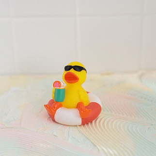 Утка на отдыхе