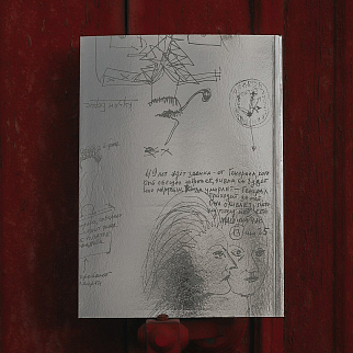 Книга Сеанс - Рената Литвинова