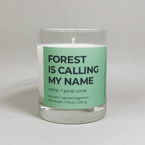 Ароматическая свеча taddywax Forest is calling my name